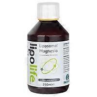 liposomal magnesium 250 ml