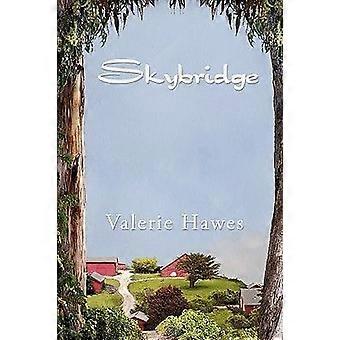 Skybridge