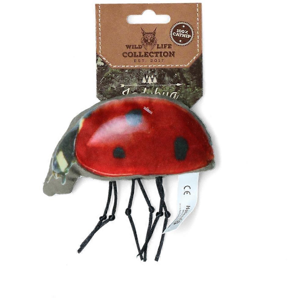 Wild Life Cat Ladybug1