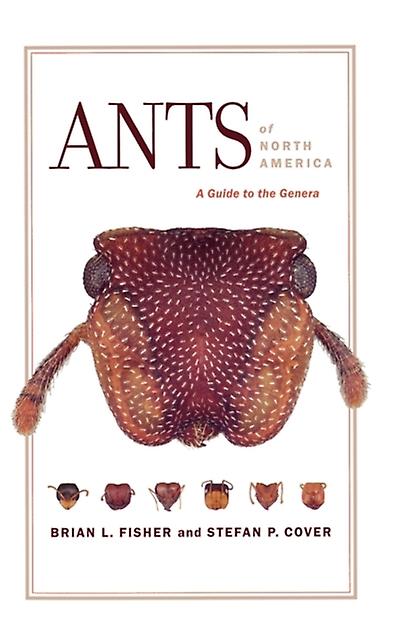 Ants Of North America by Cover & Stefan P. & Ph. D. Paperback
