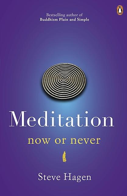 Meditation Now Or Never by Steve Hagen Paperback