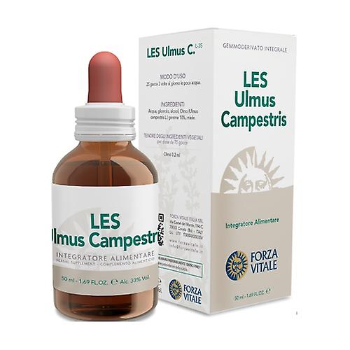 LES Ulmus Campestris 50 ml