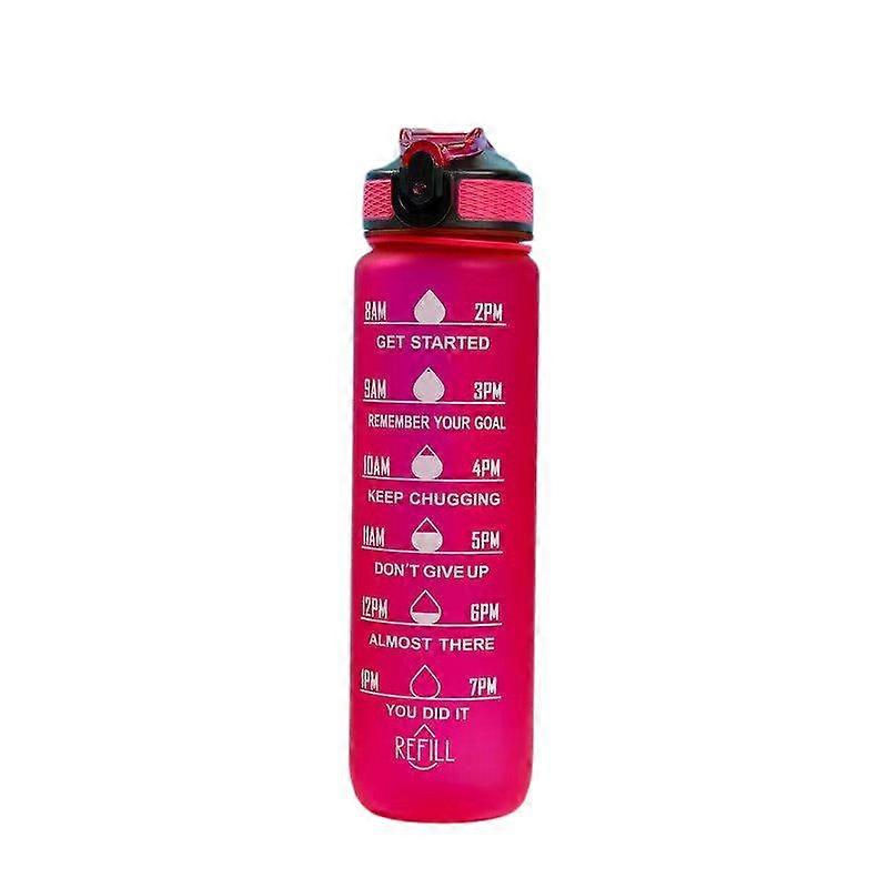 アウトドアスポーツカップ