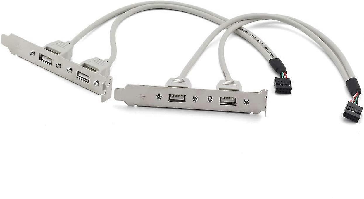 2 pcs Carte mère 9 broches vers 2X USB2.0 PCI Support d’extension du panneau arrière Hub USB
