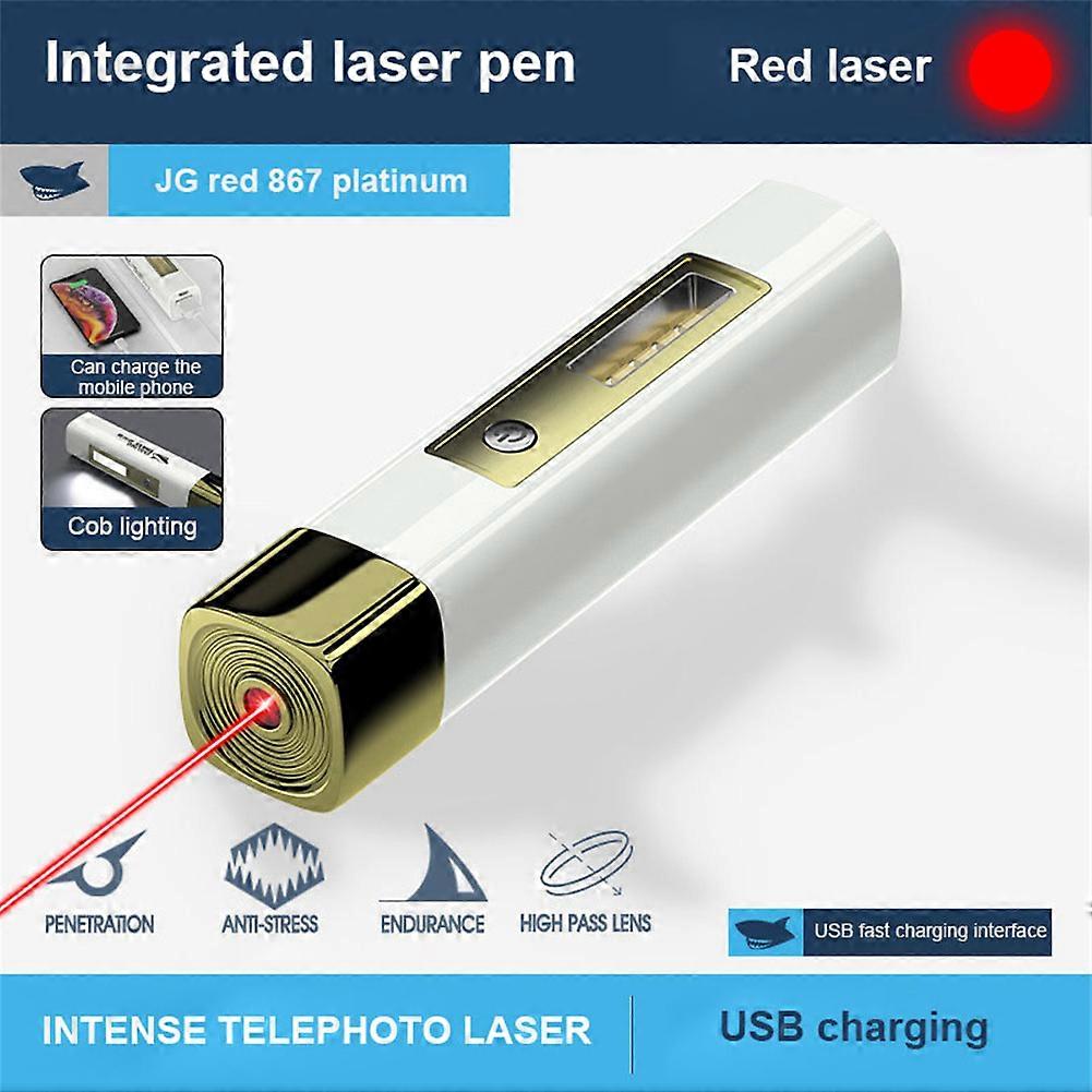 LASER TEASER PEN CAT KITTEN Fun Exercise Play Toy Mouse Projecting Pointer Red Green