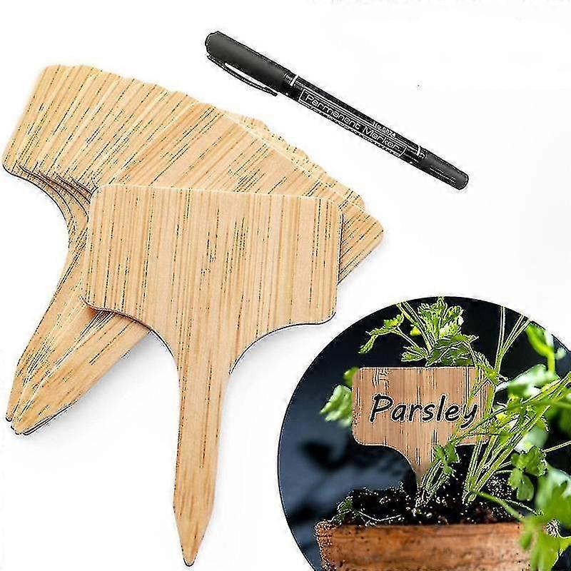 10pcs-set ετικέτες φυτών μπαμπού φιλικές προς το περιβάλλον ξύλινες ετικέτες πινακίδων φυτών φυτών για το σημάδι κήπων εργαλείων λουλουδιών σπόρων μπονσάι