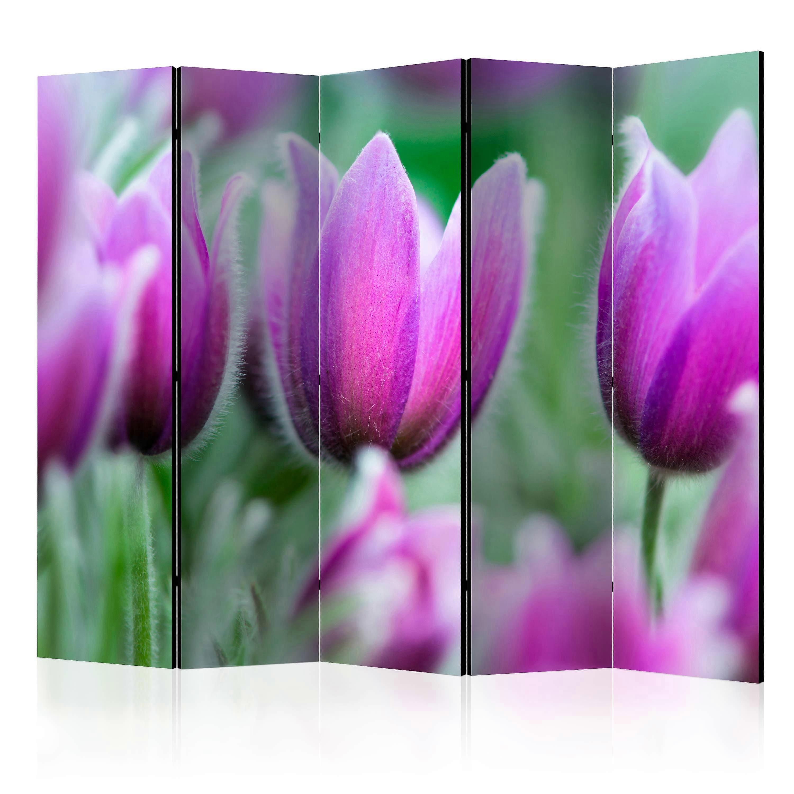Room Divider - Purple spring tulips II