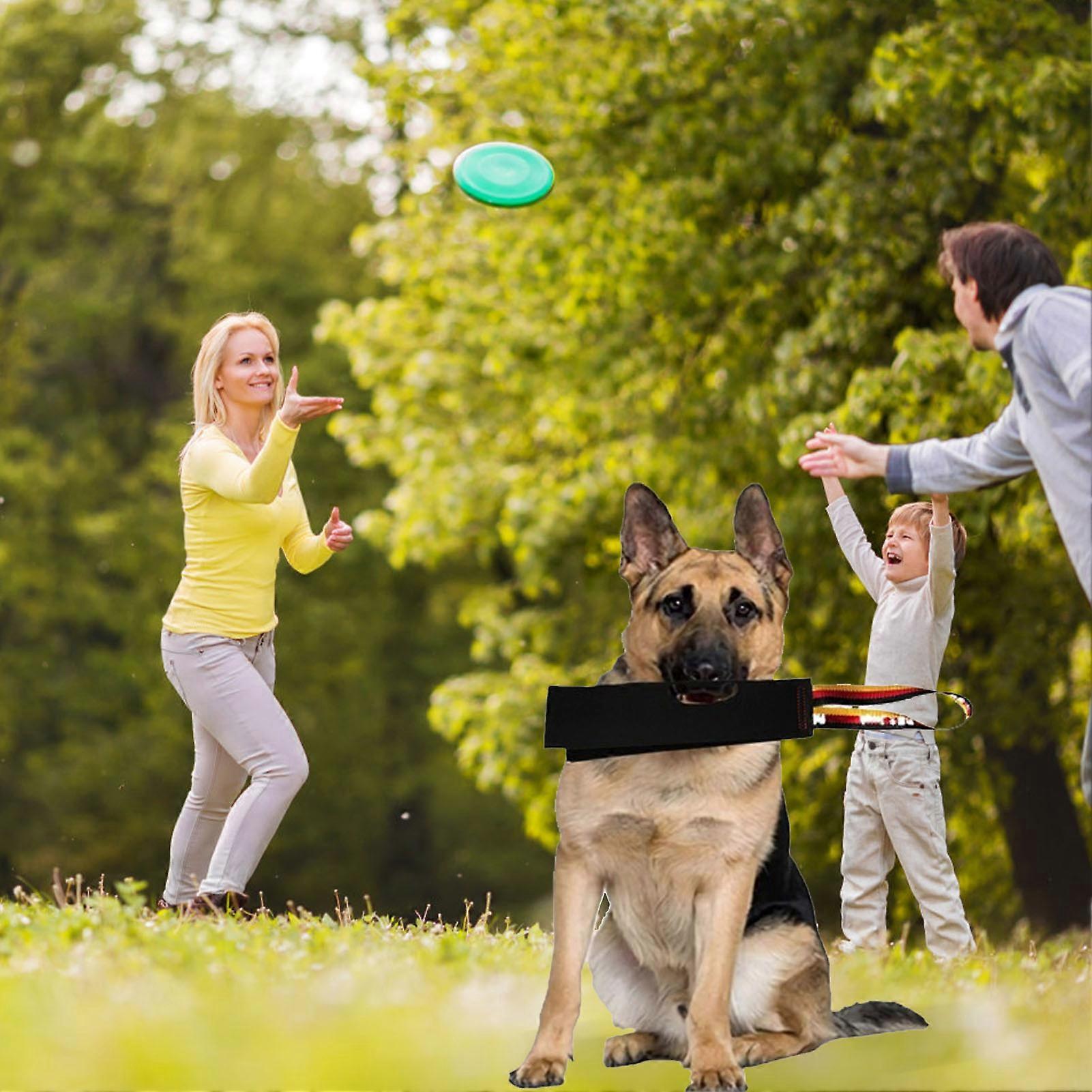 Dog Bite Rag Train Bite Grip Build Prey Drive Leather Interactive Tug of War Toy with Handle for Dog Training 