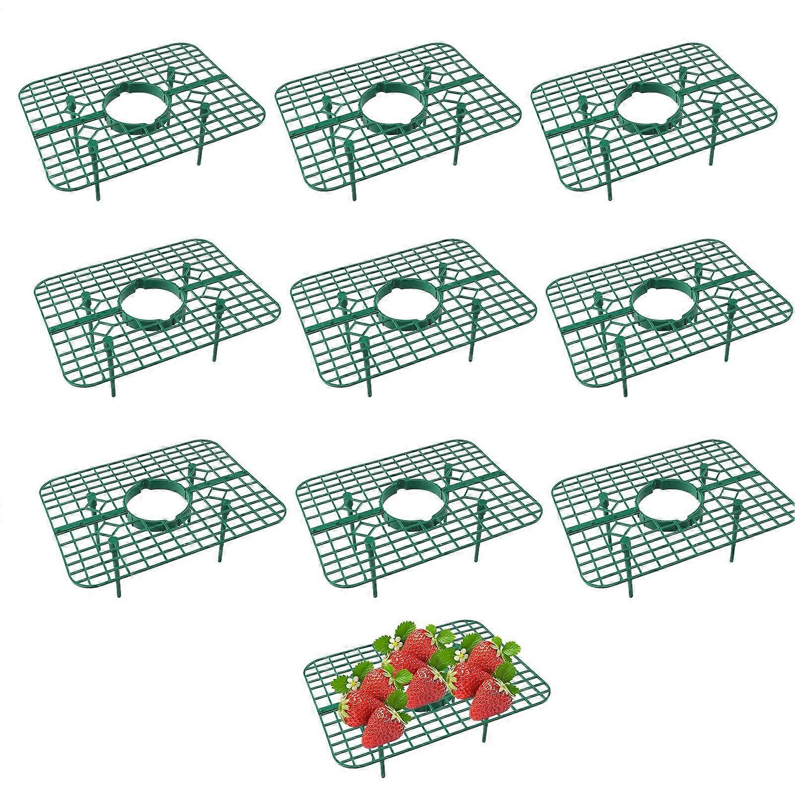 Strawberry Plant Support Frames Set of 10 – Prevent Rot and Mold, Ideal for Garden or Balcony