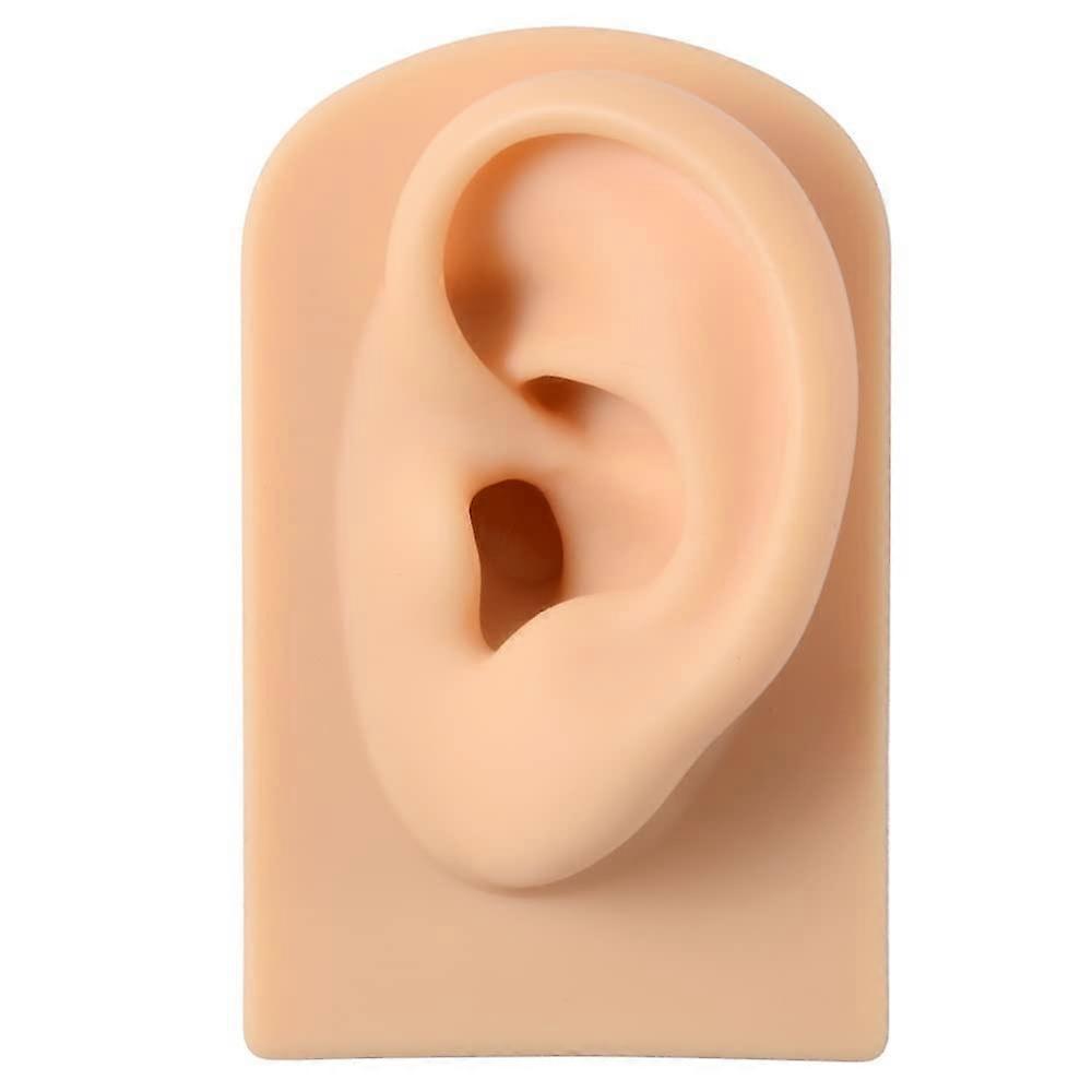 Acrylic plates, soft silicone ear model for jewelry display, 1:1 simulation (flesh color, left).