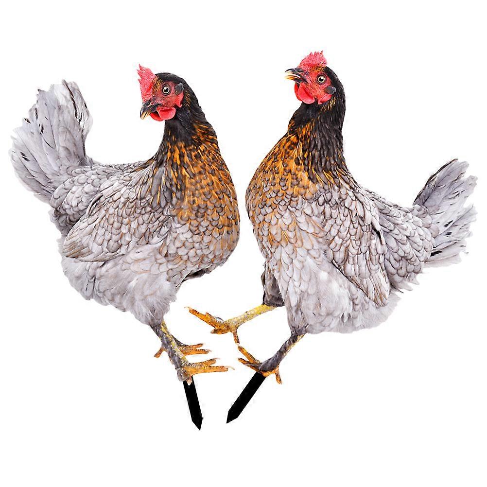 2pcs Realistic Double Sided Chicken Shaped Garden Stakes Durable Lawn Decor Outdoor Display Ornaments