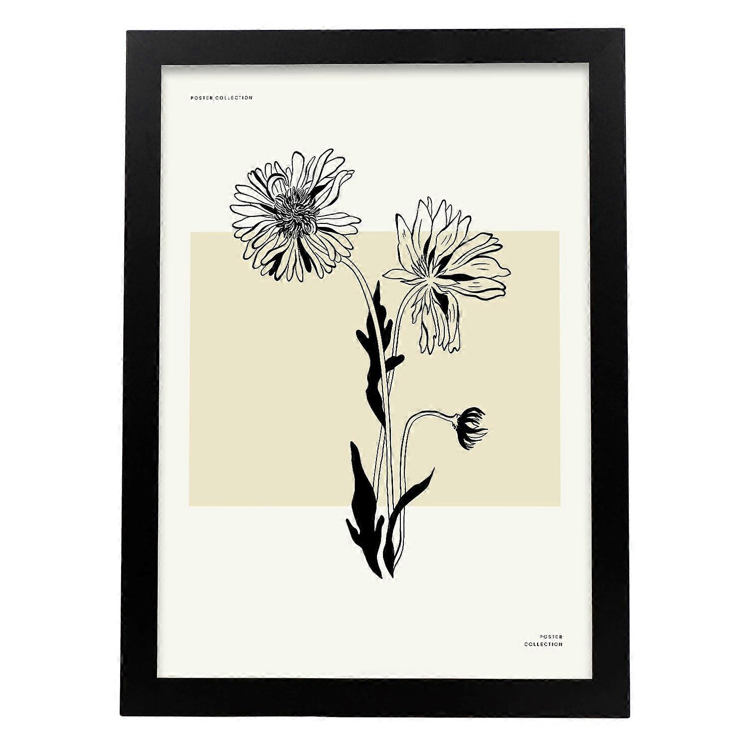 Aster plakat