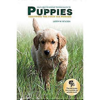 Votre guide de formation complet pour les chiots : survivre aux six premiers mois