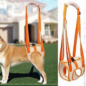 Hintere Stützvorrichtung für Hunde – Hilft Hunden mit Verletzungen, Arthritis (L), beim Stehen der Hinterbeine, Behinderung – Rehabilitations- und Gehhilfe für Haustiere
