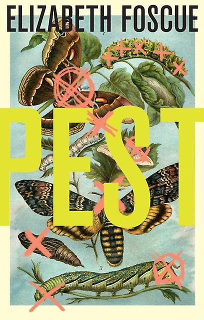 Pest by Elizabeth Foscue Hardback Book