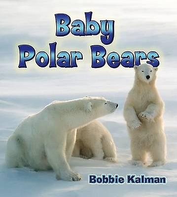Baby isbjørne