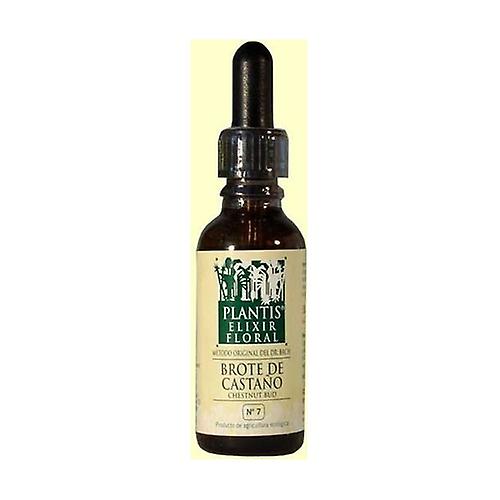 Chestnut Sprout No. 7 Eco 30 ml of floral elixir