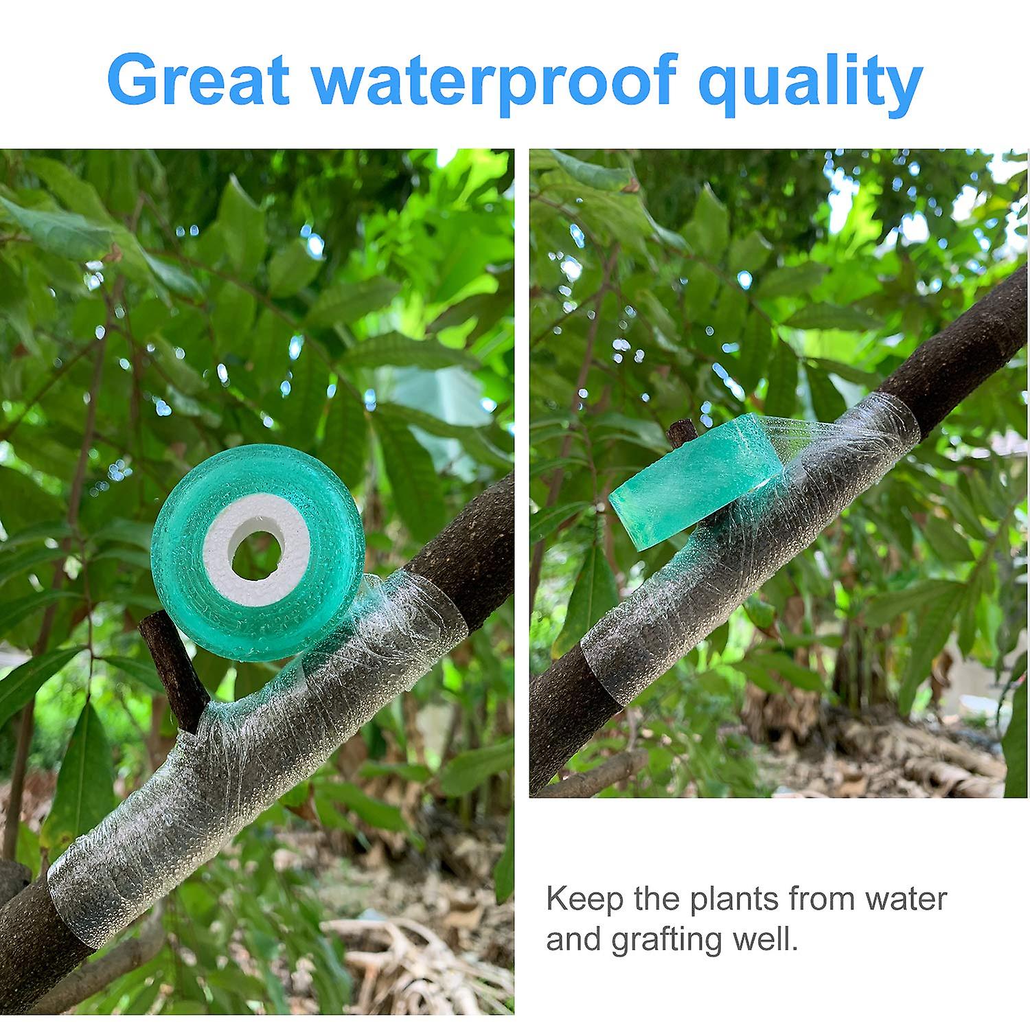 2cm100m Grafting Tape Stretchable Self-adhesive Film Plant Tree Seedling Nurse E - Foto 4