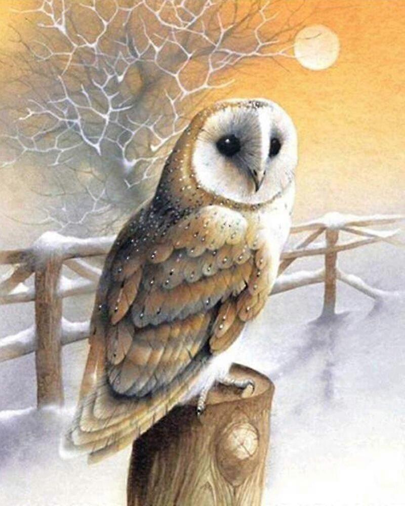 Full-diamond 5d Diy Diamond Resting Owl Pattern Diamond Embroidery Cross-stitch Rhinestone Mosaic Painting Decoration