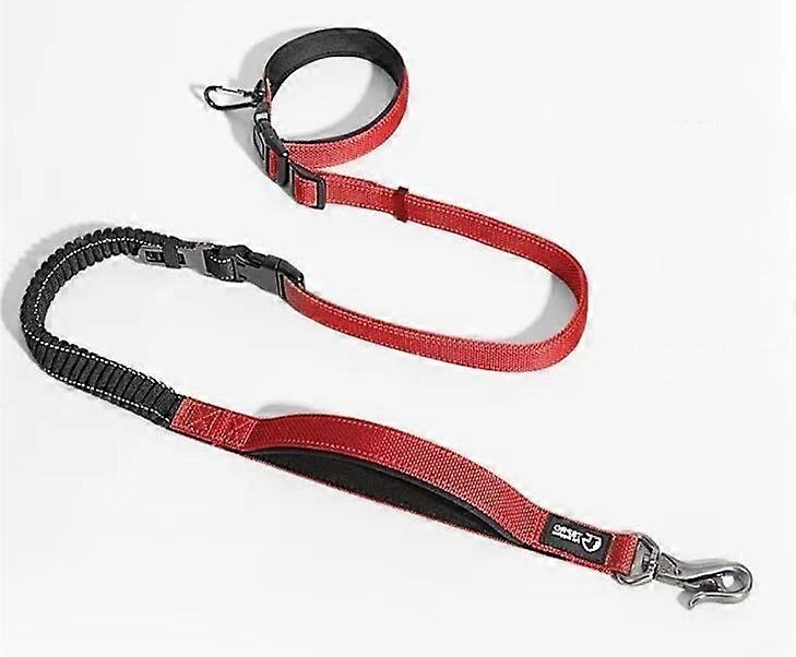 TSPRO Hands Free Dog Leash for Walking Running with Safety Car Seat Belt Shock Absorbing Bungee Leash with Padded Handle