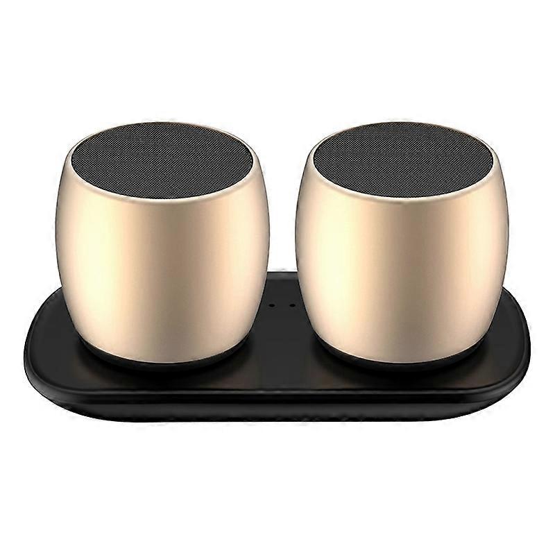 SARDiNE F1 Aluminium Alloy Stereo Wireless Bluetooth Speaker with Charging Dock, Support Hands-free