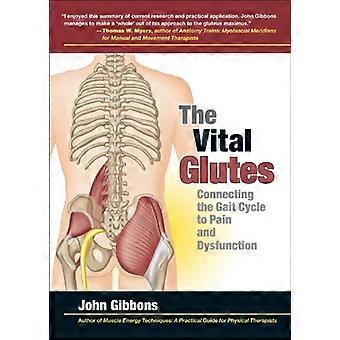 The Vital Glutes Connecting the Gait Cycle to Pain and Dysfunction
