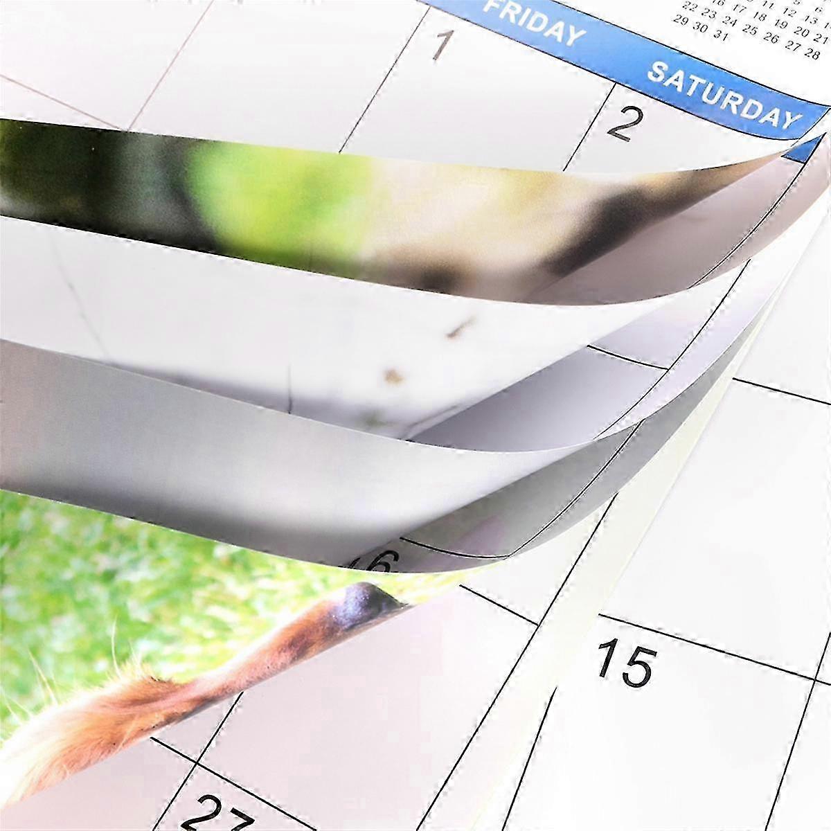 2024 Pooping Theme Wall Calendar with 12 Monthly Pages, Jan-Dec 2024 for Home Office