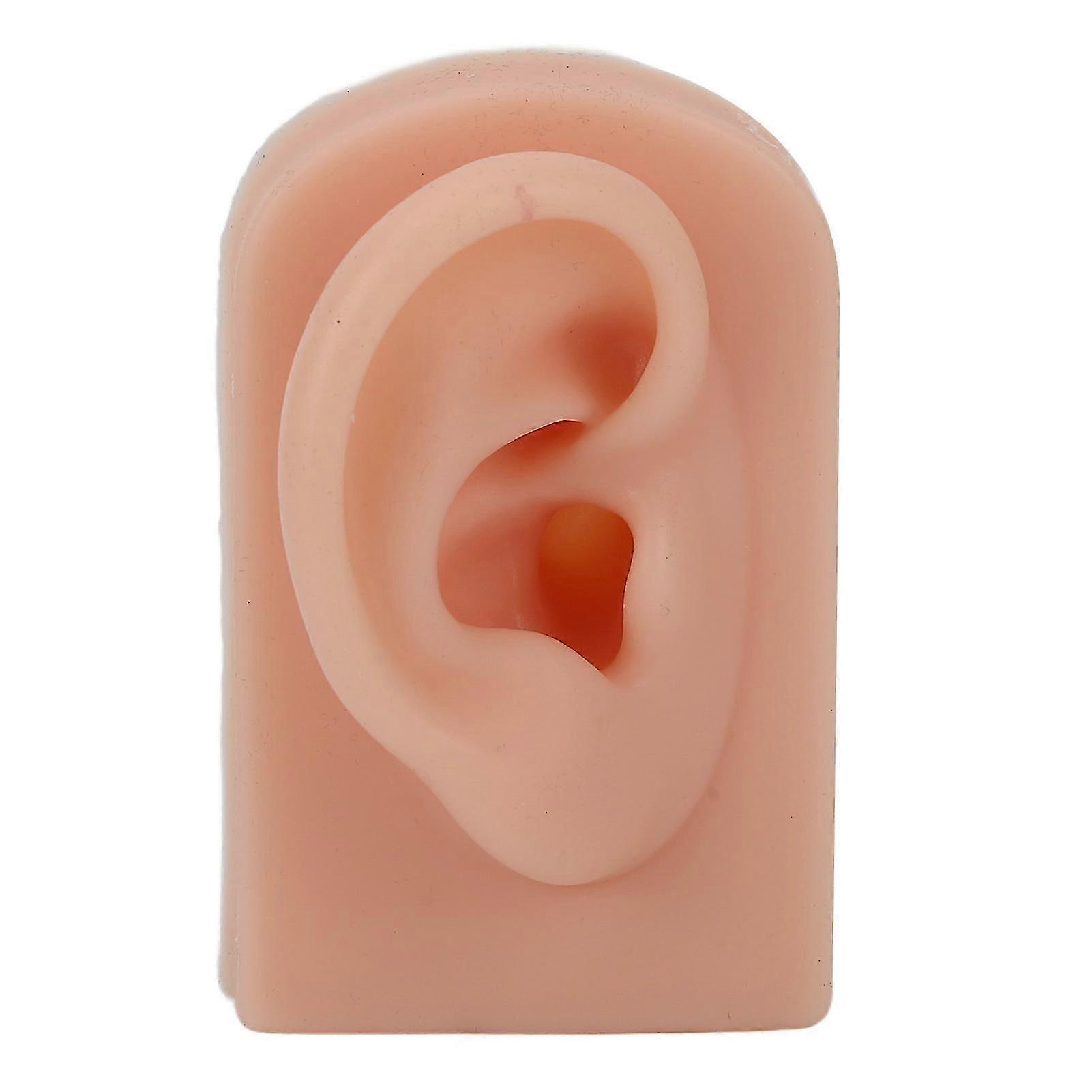 Silicone Ear Model Soft Flexible Right Ear Reusable Human Ear Model for Ear Piercing Training And Earrings Display Dark Complexion-Good
