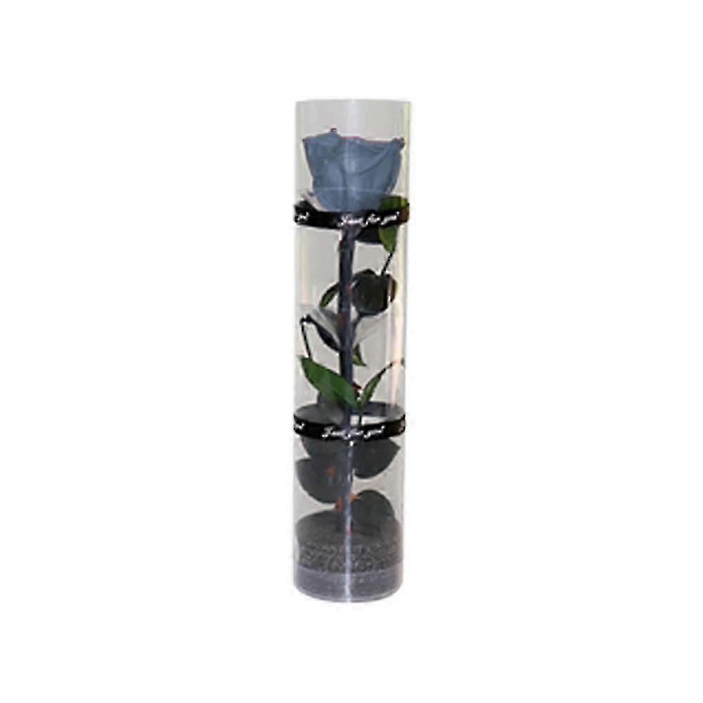 Une vraie rose préservée, une rose éternelle, une rose durable, une rose à floraison éternelle