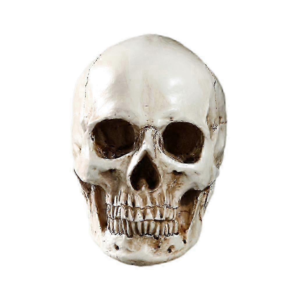 Human : Size Human 3D 2025