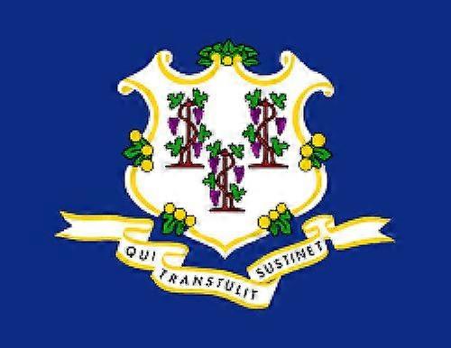 Connecticut State Flag Zy0603