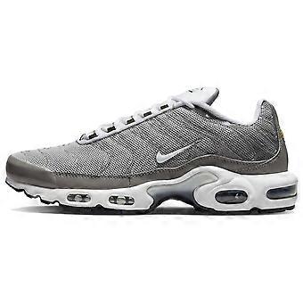 Nike Air Max Plus Flat Pewter DV7665-002