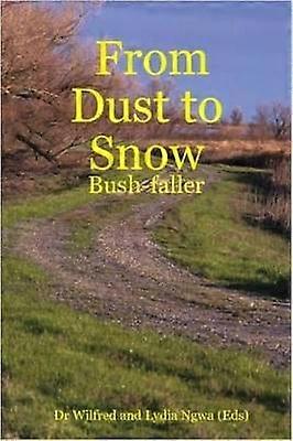 From Dust to Snow