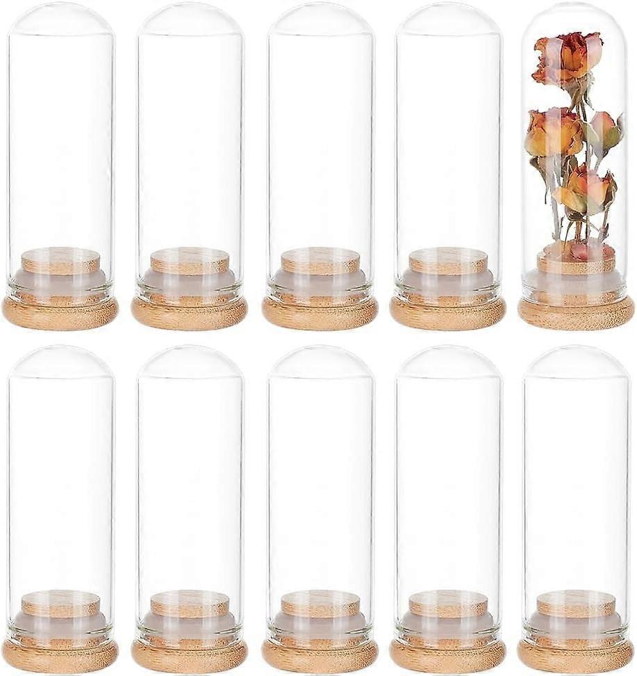 10Pack 40ml Glass Decorative Jars Dome Display Bottles Message Wishing Bottles with Bamboo Base