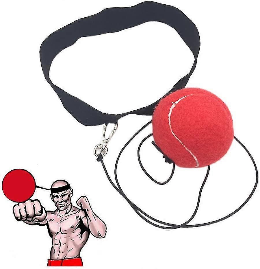 Boxing Training Ball