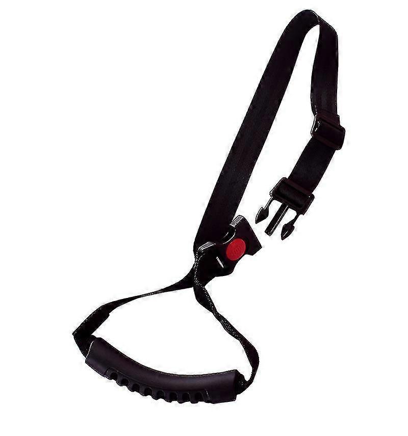 Reinforced Handrail Harness