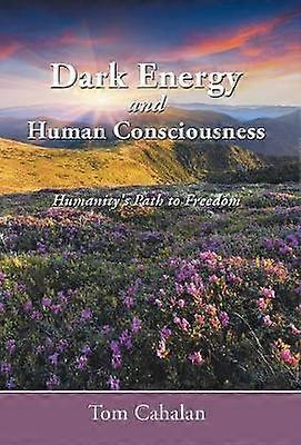 Dark Energy and Human Consciousness