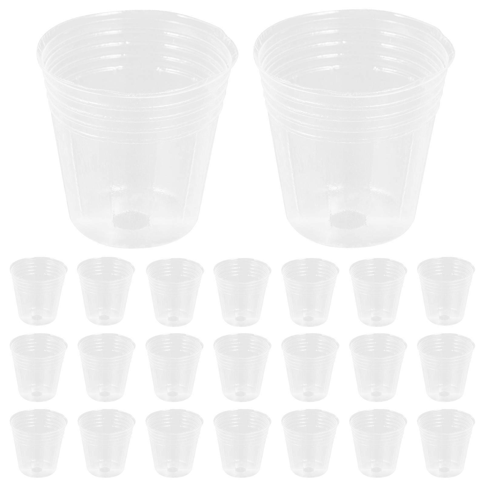Nursery Pots Clear Pots for Balcony Use Small and Medium Plants Square Shape Transparent 6.00X6.00X4.00CM Succulent and Orchid Cultivation 50Set