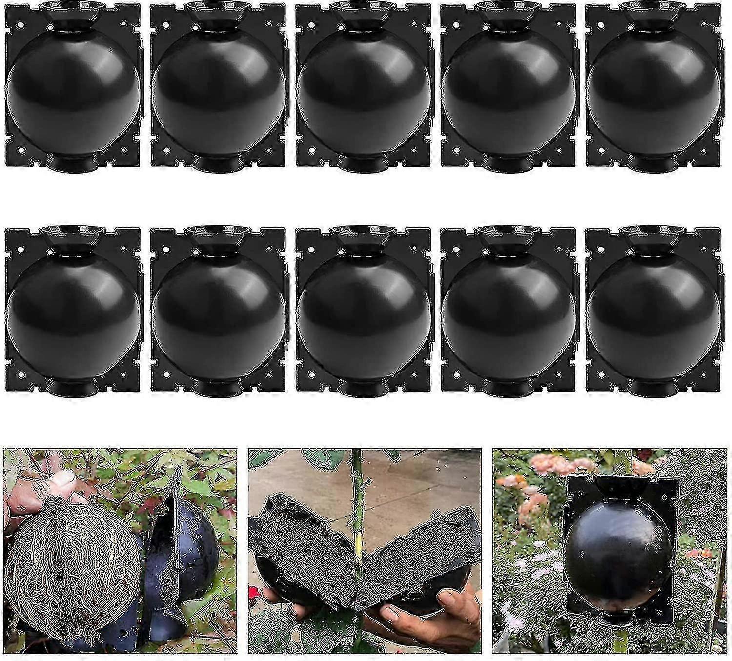 Reusable rooting device 10 pack for plant propagation growing box