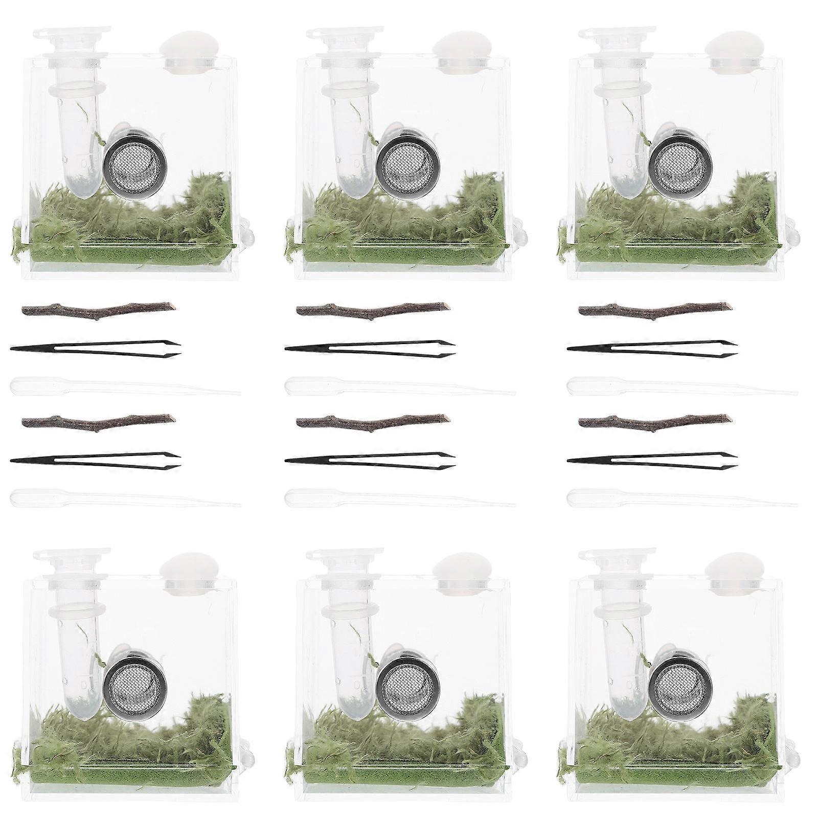 Jumping Spider Enclosure Acrylic Insects Feeding Case with Ventilation 8Sets