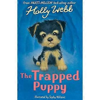 Den fångade valpen (Holly Webb Animal Stories)