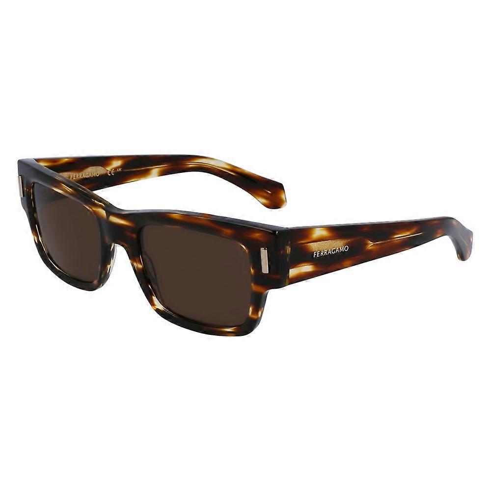 Glasses Ferragamo sf2011s216