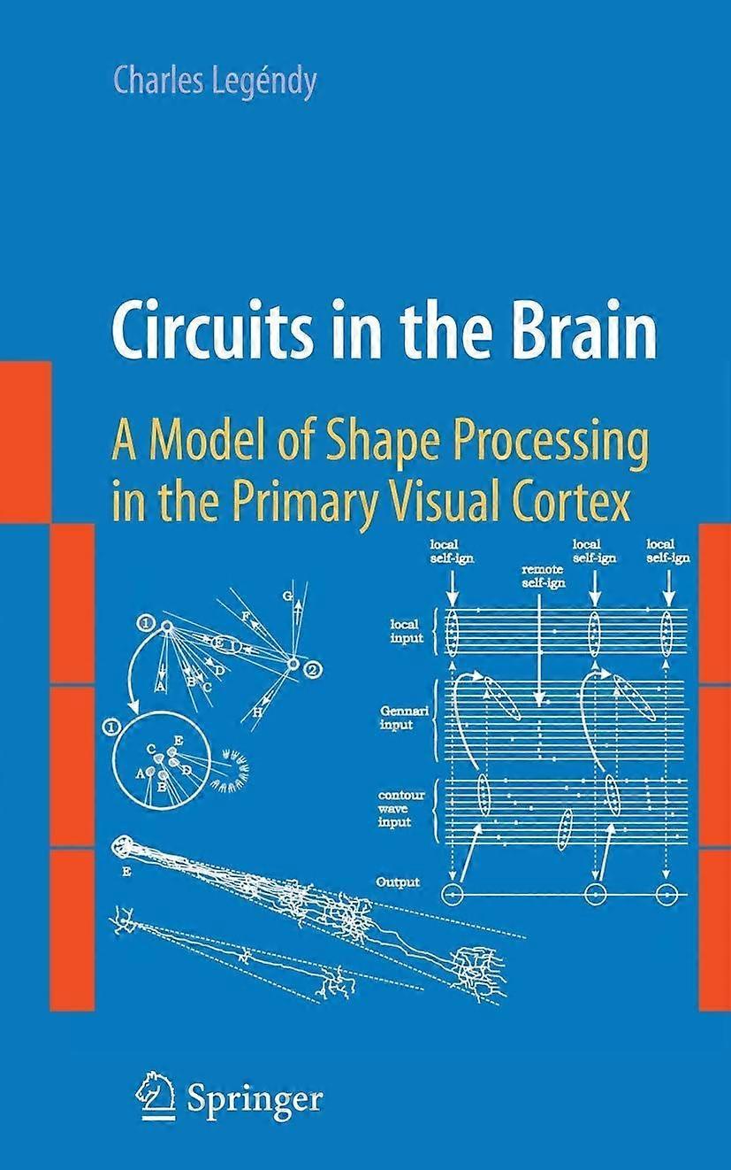 Circuits in the brain a model of shape processing in the primary visual cortex