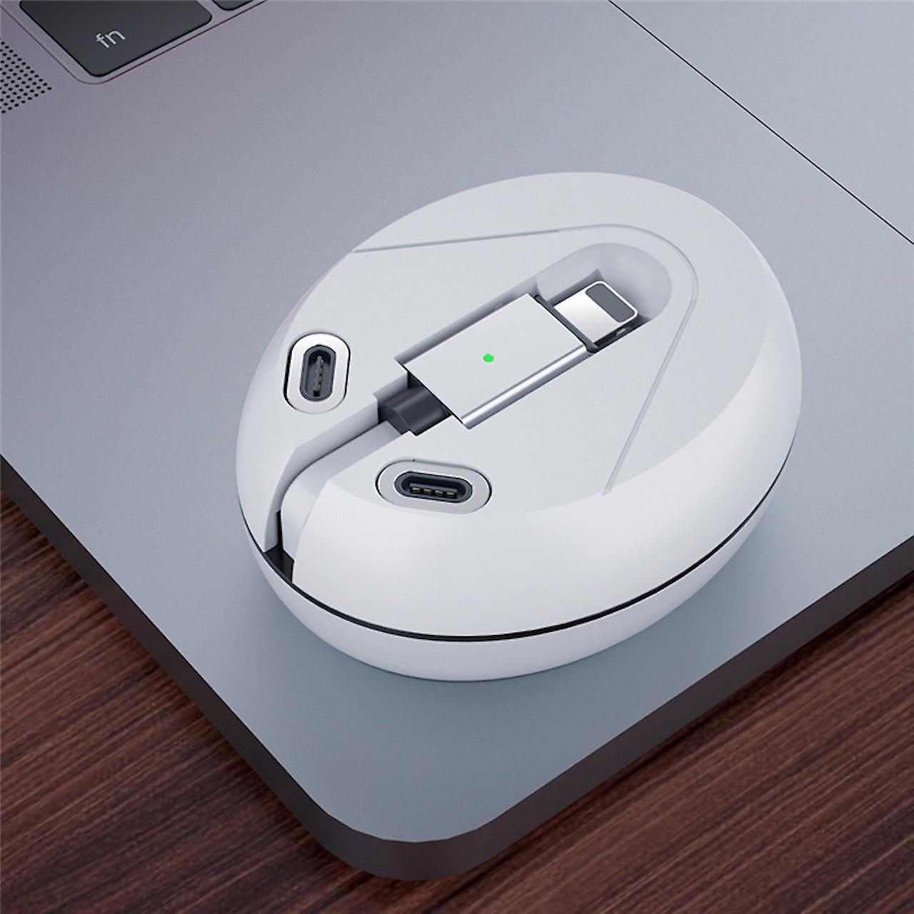 3-in-1 Replaceable Magnetic Charging Cable