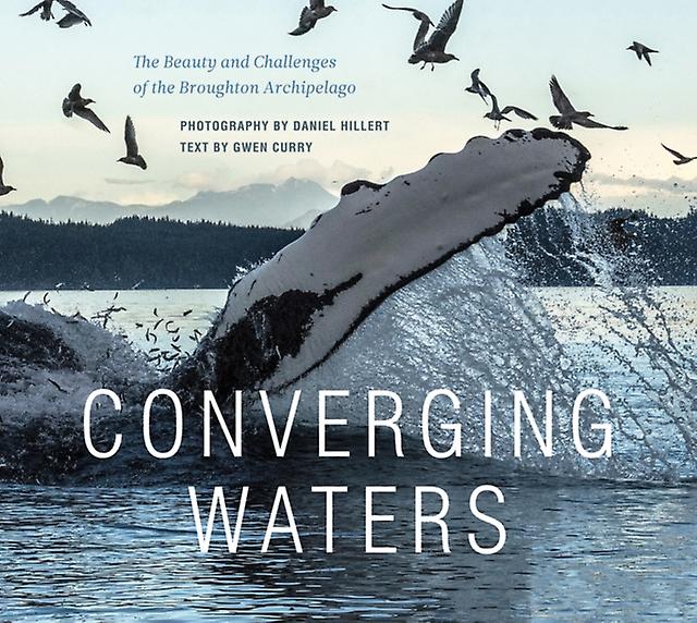 Converging Waters by Gwen Curry Hardback Book