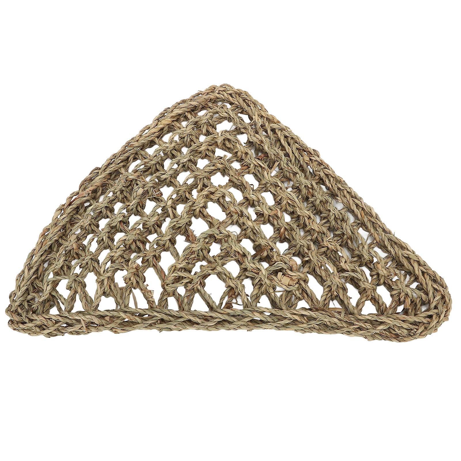 Lizard Hammock, Reptile Animals, Bearded Dragon