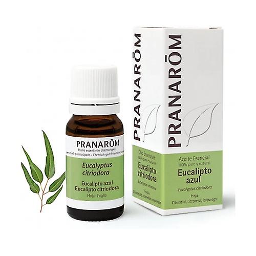 Lemon Eucalyptus essential oil - leaf 10 ml of essential oil (Eucalyptus)