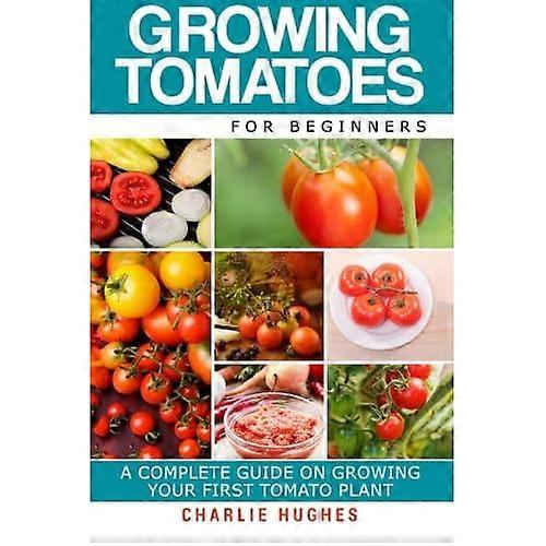 Growing Tomatoes for Beginners: A Complete Guide on Growing Your First Tomato Plant