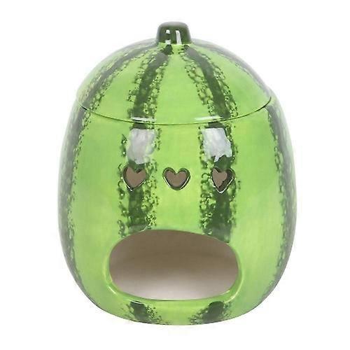 Something Different Watermelon Oil Burner