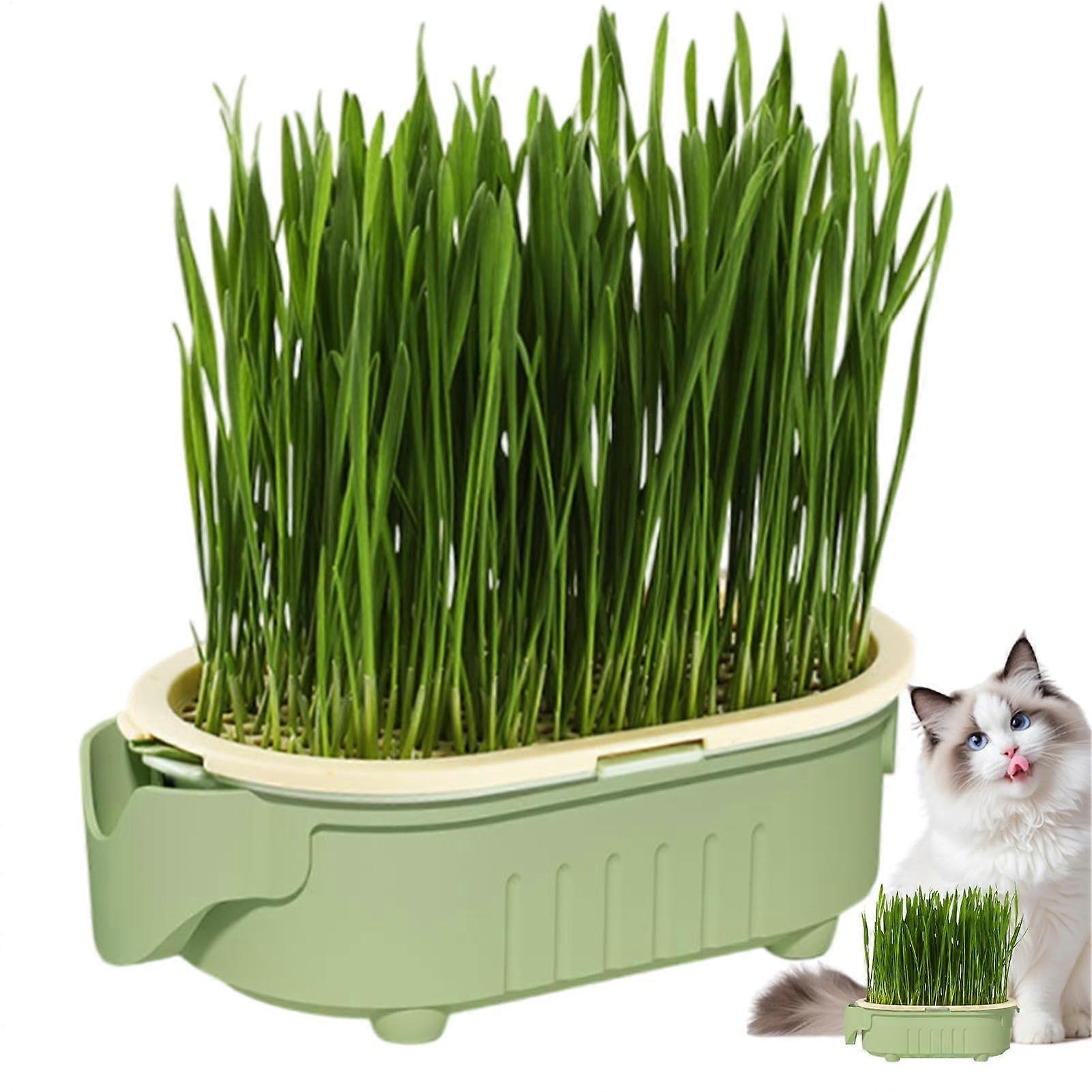 Cat Grass Planting Box Hydroponic Pet Snack Tray Bottomless Water Cave Container for Courtyard Window Sill Gardening